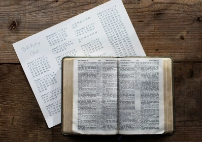 Ancient Healing Wisdom: Uncovering the Forgotten Medicinal Plants of the Bible blog image