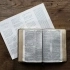 Ancient Healing Wisdom: Uncovering the Forgotten Medicinal Plants of the Bible small image